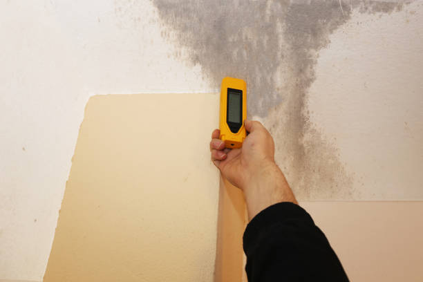 Best Industrial Mold Remediation  in Trafford, PA